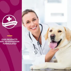 NaturVet ArthriSoothe-Gold Advance Level 3 Joint Care Chewable Tablets for Dogs & Cats