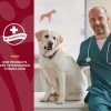 NaturVet Cranberry Relief Plus Echinacea Soft Chew Urinary Supplement for Dogs, 60 count