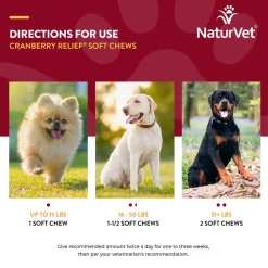 NaturVet Cranberry Relief Plus Echinacea Soft Chew Urinary Supplement for Dogs, 60 count