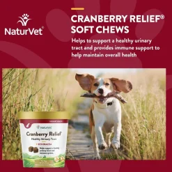 NaturVet Cranberry Relief Plus Echinacea Soft Chew Urinary Supplement for Dogs, 60 count