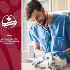 NaturVet Cranberry Relief Plus Echinacea Soft Chew Urinary Supplement for Cats, 60 count