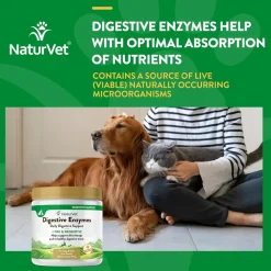 NaturVet Digestive Enzymes Powder Daily Digestive Support Plus Pre & Probiotic for Dogs & Cats, 4-oz