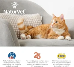 NaturVet Digestive Enzymes Soft Chews Daily Digestive Support with Pre & Probiotic for Cats, 60 count