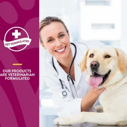 NaturVet Glucosamine DS Level 1 Soft Chews with Chondroitin for Dogs & Cats, 70 count