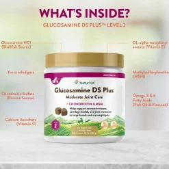 NaturVet Glucosamine DS Plus Level 2 Soft Chews with Chondroitin & MSM for Dogs & Cats