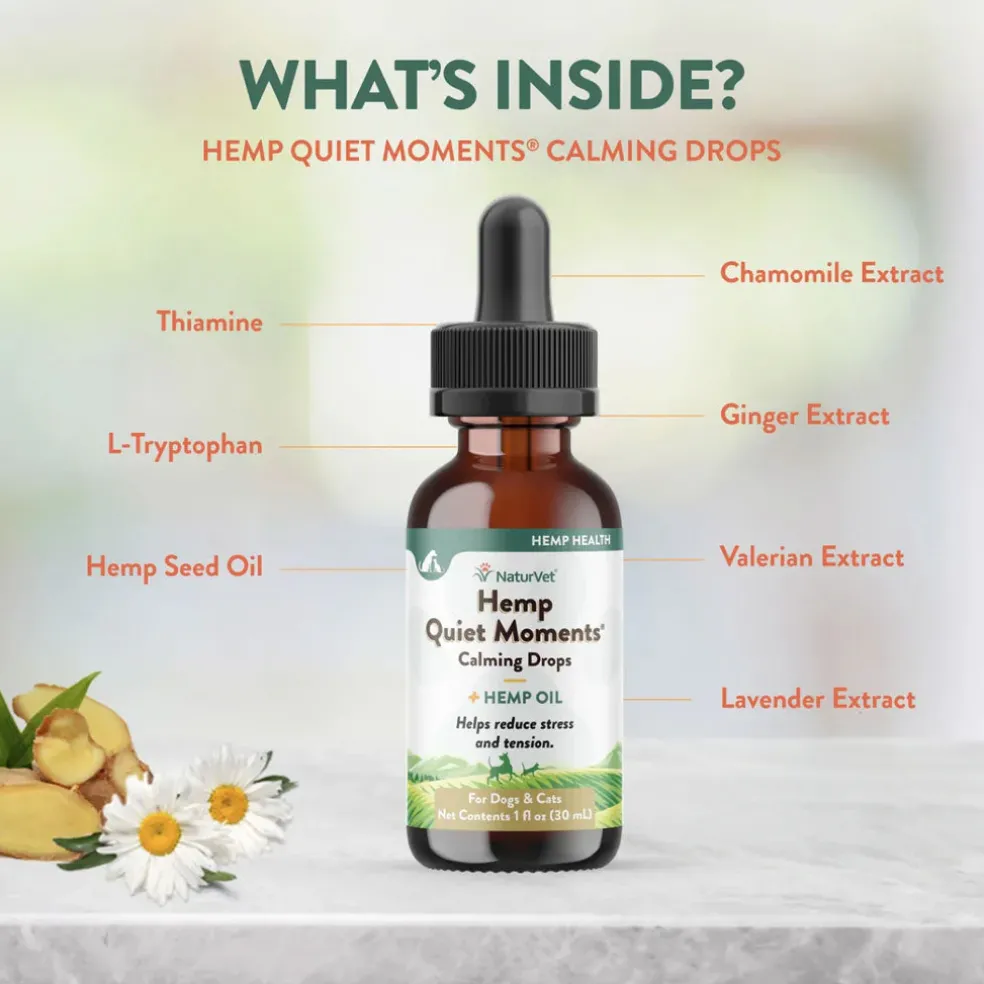 NaturVet Hemp Quiet Moments Calming Drops Hemp Oil for Dogs & Cats, 1-oz