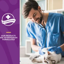 NaturVet L-Lysine Immune Support + Antioxidants Soft Chews for Cats, 60 count