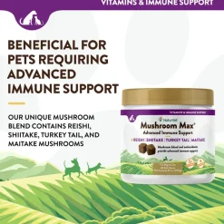 NaturVet Mushroom Max Advanced Immune Support Soft Chews for Dogs & Cats, 60 count