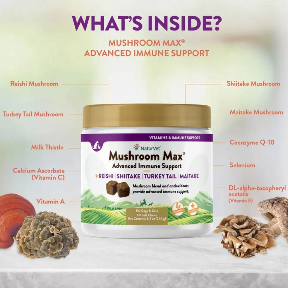 NaturVet Mushroom Max Advanced Immune Support Soft Chews for Dogs & Cats, 60 count