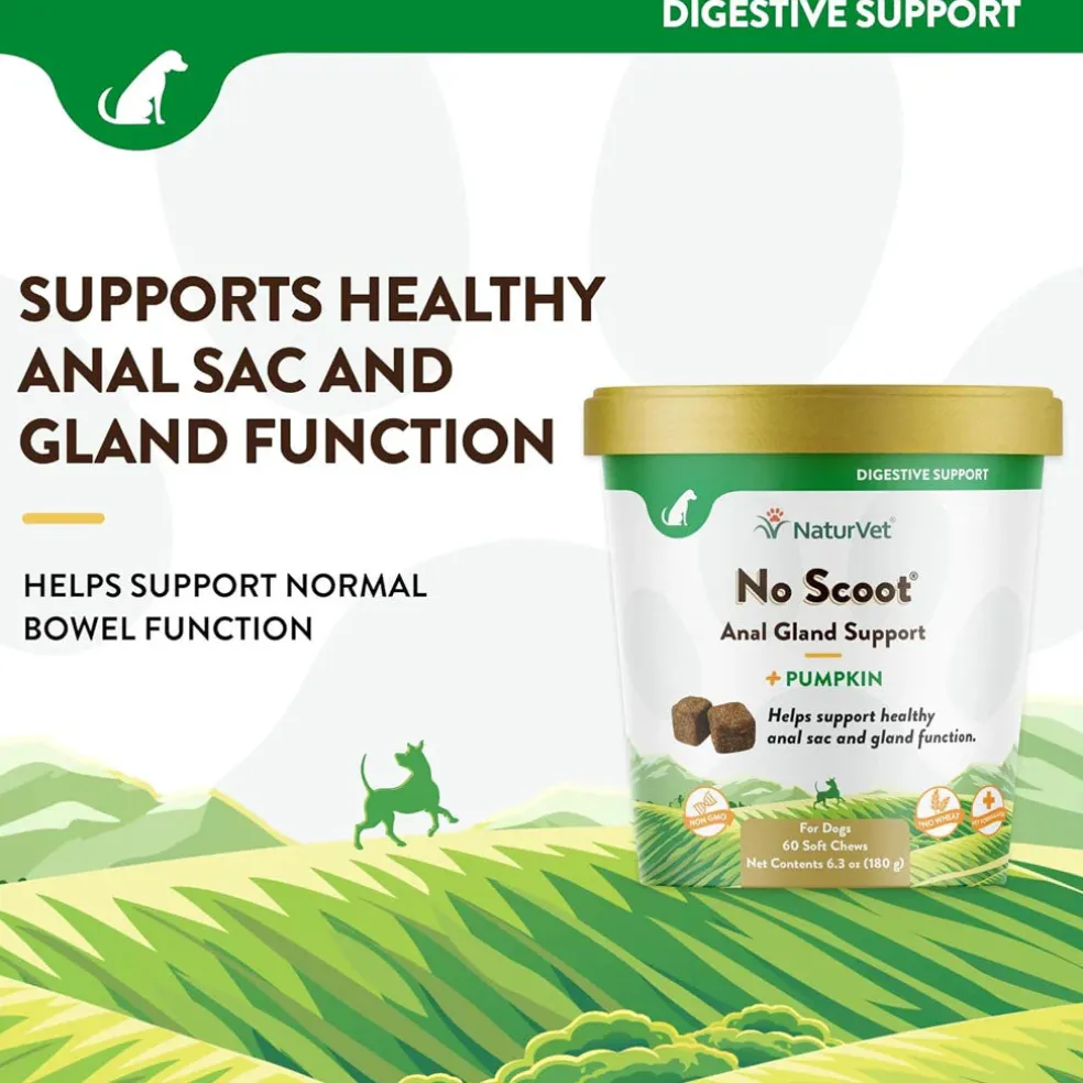 NaturVet No Scoot Soft Chews Anal Gland Support with Pumpkin for Dogs, 60 count