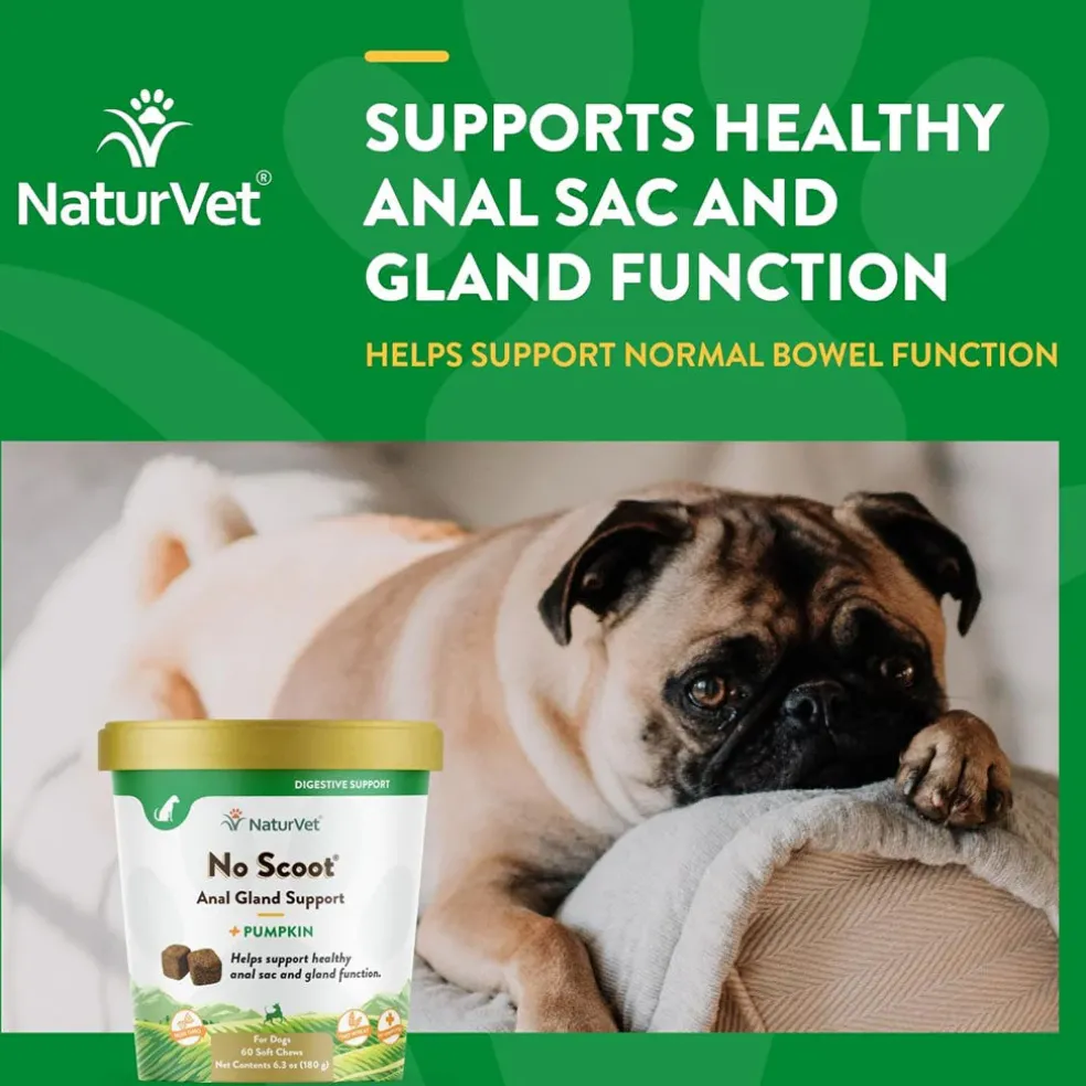 NaturVet No Scoot Soft Chews Anal Gland Support with Pumpkin for Dogs, 60 count