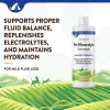 NaturVet Pet Electrolyte Concentrate for Dogs & Cats, 16-oz