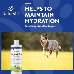 NaturVet Pet Electrolyte Concentrate for Dogs & Cats, 16-oz