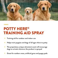 NaturVet Potty Here Training Aid Spray for Indoor & Outdoor Use (8 oz)