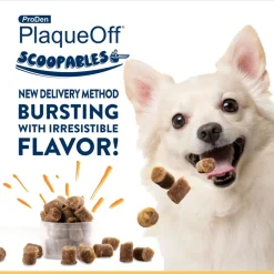 NaturVet ProDen PlaqueOff Scoopables Dental Treat for Small & Medium Breed, 45 scoops