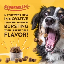 NaturVet Scoopables Advanced Probiotics & Enzymes Plus Vet Strength PB6 Probiotic for Dogs, 11-oz