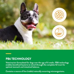 NaturVet Scoopables Advanced Probiotics & Enzymes Plus Vet Strength PB6 Probiotic for Dogs, 11-oz