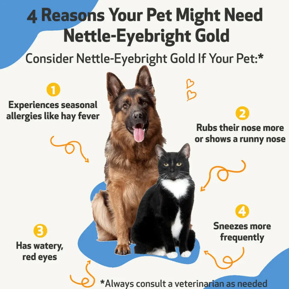 Nettle-Eyebright Gold - Seasonal Allergy Defense for Dogs (4 oz)