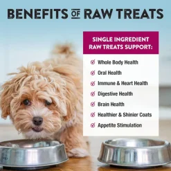 Northwest Naturals Freeze-Dried Beef Heart Treats for Dogs & Cats