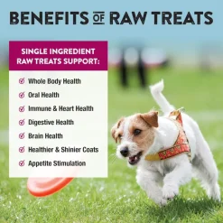 Northwest Naturals Freeze-Dried Beef Heart Treats for Dogs & Cats