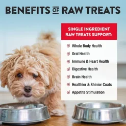 Northwest Naturals Freeze-Dried Beef Liver Treats for Dogs & Cats