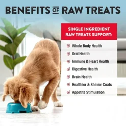 Northwest Naturals Freeze-Dried Beef Liver Treats for Dogs & Cats