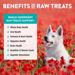 Northwest Naturals Freeze-Dried Chick Breast Treats for Dogs & Cats