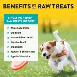 Northwest Naturals Freeze-Dried Chick Breast Treats for Dogs & Cats