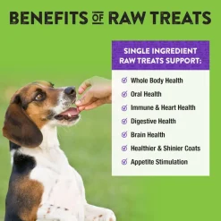 Northwest Naturals Freeze-Dried Pork Liver Treats for Dogs & Cats