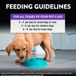 Northwest Naturals Freeze-Dried Pork Liver Treats for Dogs & Cats