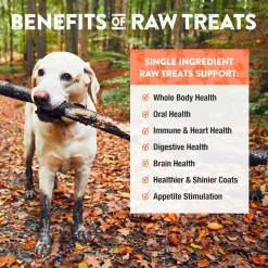 Northwest Naturals Freeze-Dried Shrimp Treats for Dogs & Cats (1 oz)