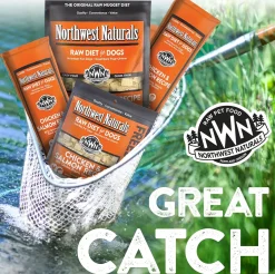 Northwest Naturals Freeze-Dried Nuggets Chicken & Salmon Recipe Raw Diets for Dogs