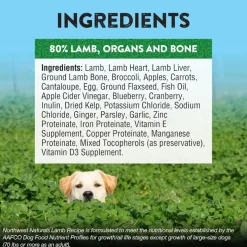 Northwest Naturals Freeze-Dried Nuggets Lamb Recipe Raw Diets for Dogs