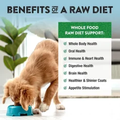 Northwest Naturals Freeze-Dried Nuggets Lamb Recipe Raw Diets for Dogs
