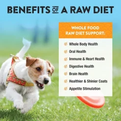Northwest Naturals Freeze-Dried Nuggets Turkey Recipe Raw Diets for Dogs