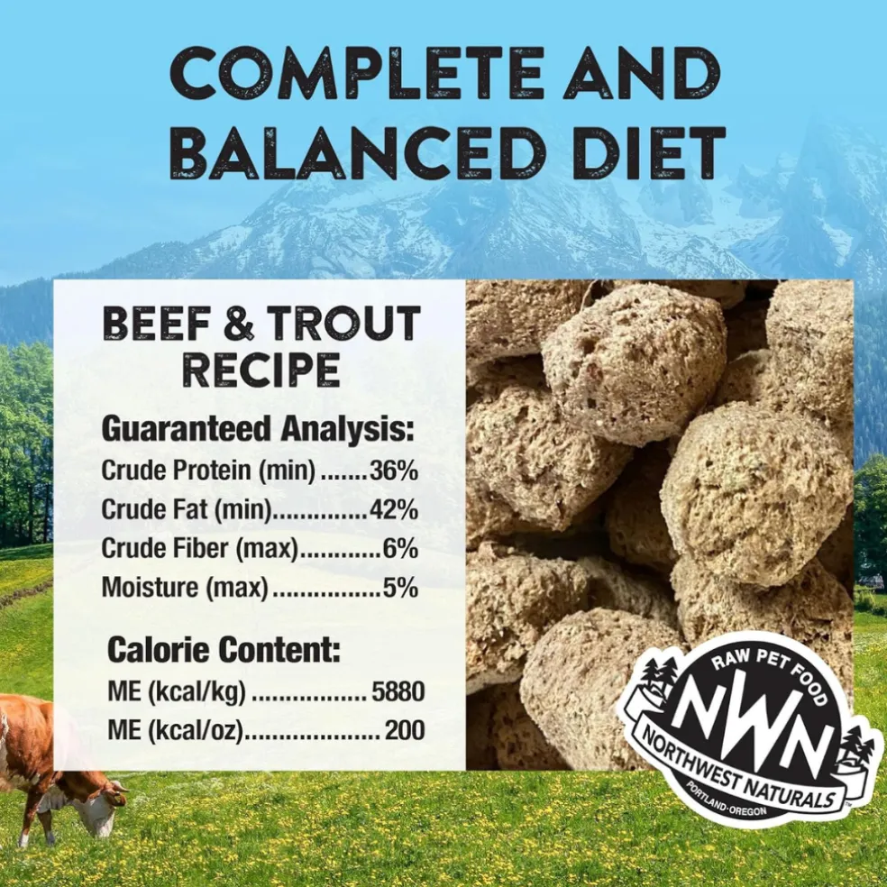Northwest Naturals Freeze-Dried Nuggets Beef & Trout Recipe Raw Diets for Dogs