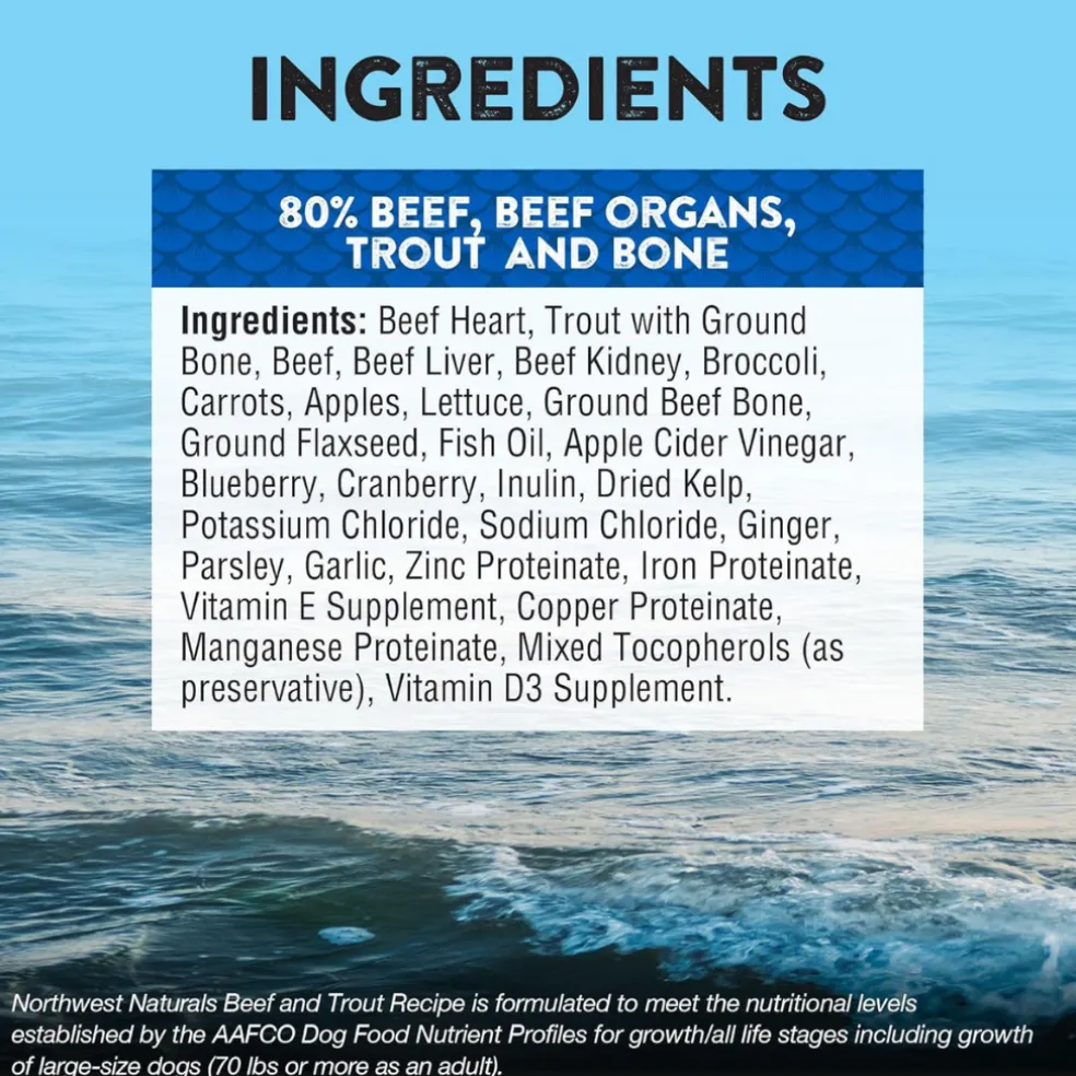 Northwest Naturals Freeze-Dried Nuggets Beef & Trout Recipe Raw Diets for Dogs
