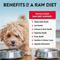 Northwest Naturals Freeze-Dried Nuggets Beef Recipe Raw Diets for Dogs