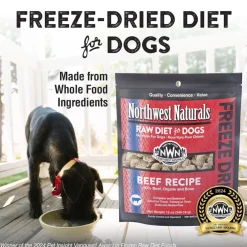 Northwest Naturals Freeze-Dried Nuggets Beef Recipe Raw Diets for Dogs