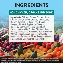 Northwest Naturals Freeze-Dried Nuggets Chicken Recipe Raw Diets for Dogs
