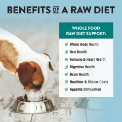 Northwest Naturals Freeze-Dried Nuggets Chicken Recipe Raw Diets for Dogs
