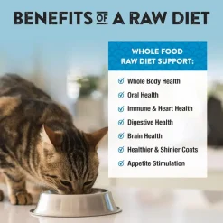 Northwest Naturals Freeze-Dried Turkey Recipe Raw Diets for Cats (11 oz)