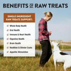 Northwest Naturals Freeze-Dried Bison Liver Treats for Dogs & Cats (3 oz)