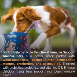 Nulo Functional Granola Bar Immunity Daily Defense Dog Treats Blueberry & Mango, 10-oz