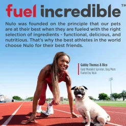 Nulo Functional Granola Bar Immunity Daily Defense Dog Treats Blueberry & Mango, 10-oz