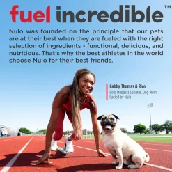 Nulo Functional Granola Bar Omega Skin & Coat Dog Treats Coconut & Cranberry, 10-oz