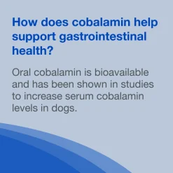 Nutramax Cobalequin B12 Supplement for Medium to Large Dogs, 45 Chewable Tablets