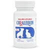 Nutramax Cobalequin B12 Supplement for Cats and Small Dogs, 45 Chewable Tablets