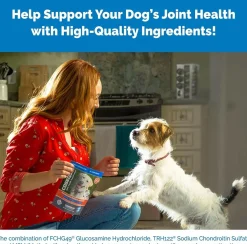 Nutramax Cosequin DS Joint Health Chewable Supplement for Dogs - With Glucosamine and Chondroitin