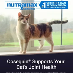 Nutramax Cosequin Joint Health Supplement for Cats - With Glucosamine and Chondroitin, 80 Capsules